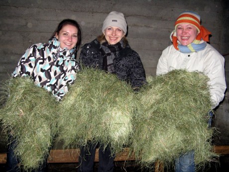 Iceland - farm girls.jpg